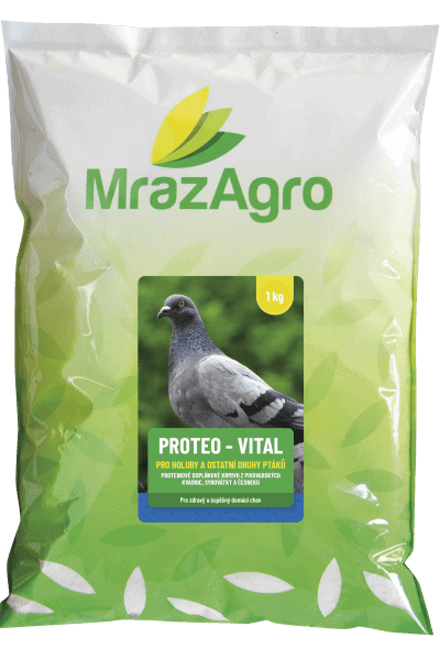 PROTEO VITAL proteinové doplňkové krmivo s česnekem pro holuby a ostatní ptáky - 1 kg sáček